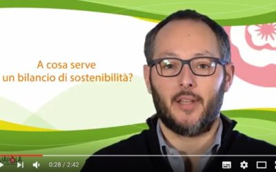 Perché e come scrivere un bilancio sociale [VIDEO]