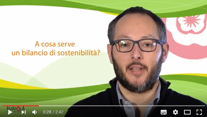 Perché e come scrivere un bilancio sociale [VIDEO]