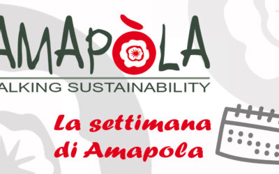 La settimana di Amapola